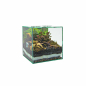 Preview: PLANTCUBE - Vivarium 20x20x20 Biom Bundle